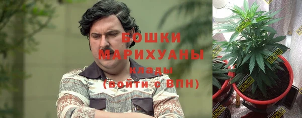 СК Аркадак