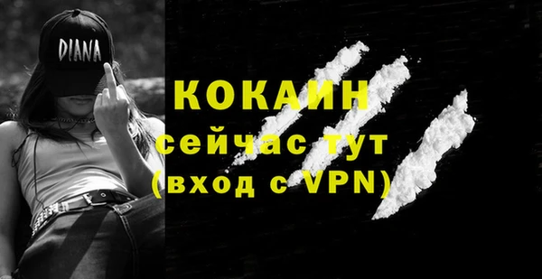 дурь Арсеньев