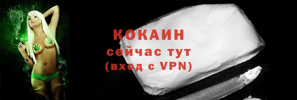 дурь Арсеньев