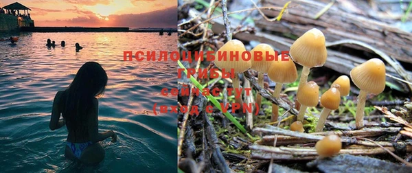дурь Арсеньев