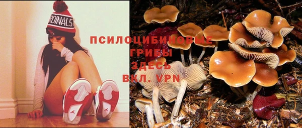 СК Аркадак